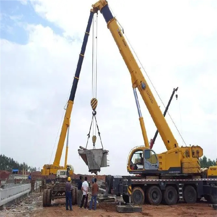 青神小型吊机出租电话|厂房设备吊装方案|24小时服务覆盖